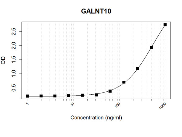Anti-Human GALNT10 Antibody Pair