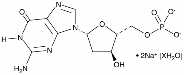 2&#039;-Deoxyguanosine 5&#039;-monophosphate (sodium salt hydrate)