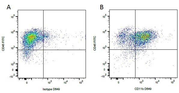 Anti-CD11b, clone CA16.3E10