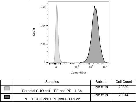 PD-L1 - CHO Recombinant Cell Line