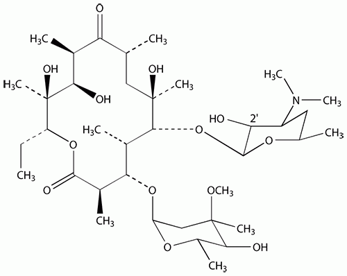 Erythromycin