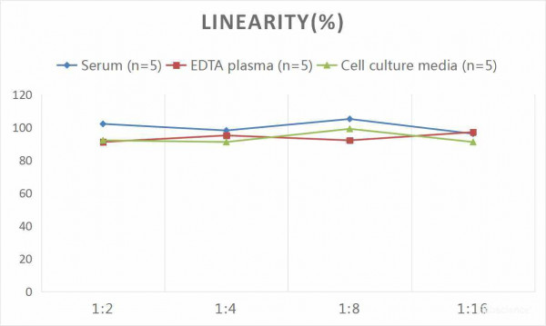 Human CRP (C-Reactive Protein) CLIA Kit