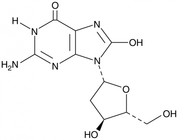 8-Hydroxy-2&#039;-deoxyguanosine