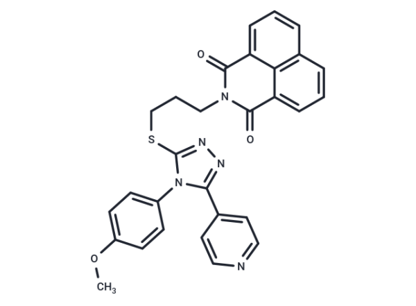 WIKI4