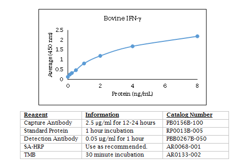 Anti-Interferon gamma (IFN-gamma) (bovine)