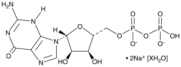 Guanosine 5&#039;-diphosphate (sodium salt hydrate)