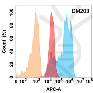 Anti-CD99 antibody(DM203), Rabbit mAb