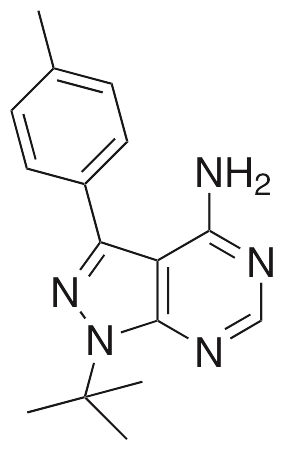 PP-1