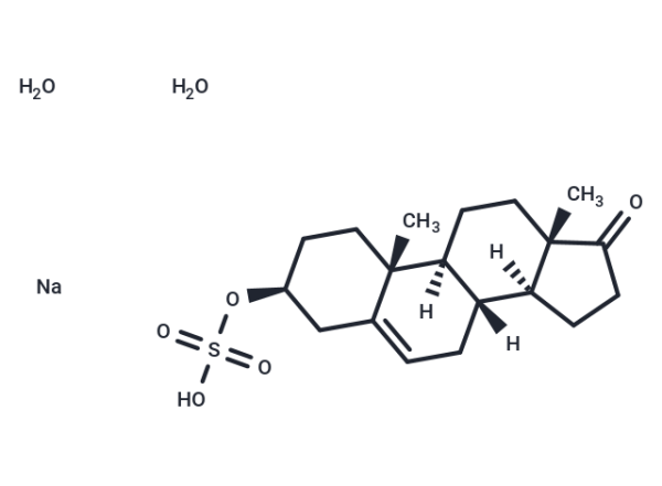 Prasterone sulfate sodium hydrate