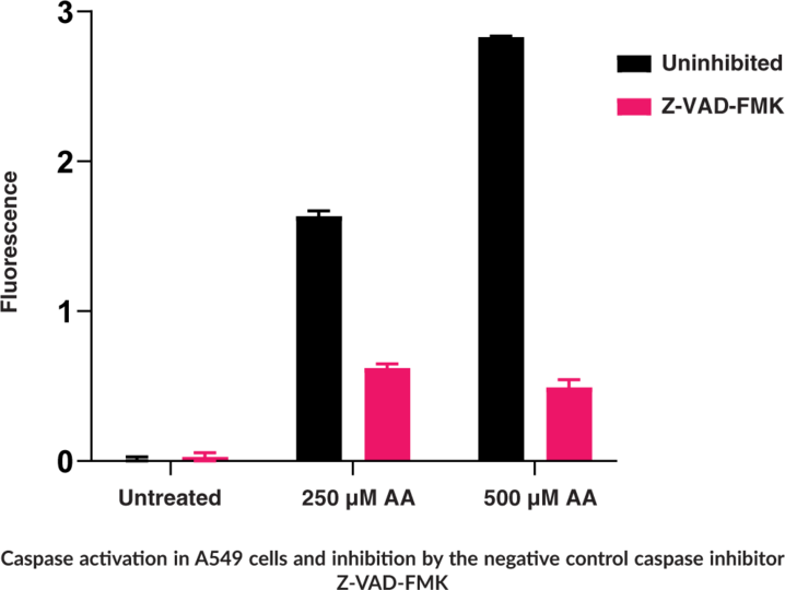 CaspGLOW(TM) Fluorescein Staining Kit Cayman Chemical