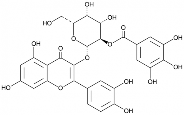 2''-O-Galloylhyperin