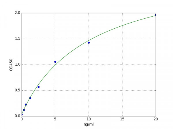 Human CENPA / Centromere Protein A ELISA Kit