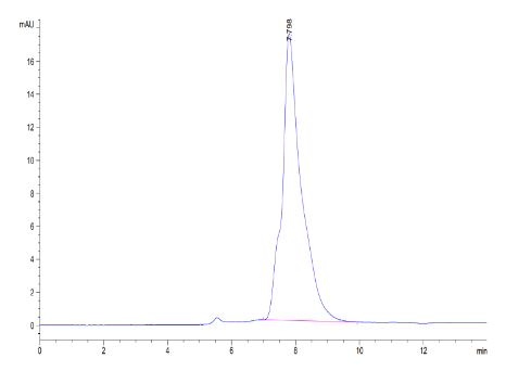 CALCA/CGRP hFc Chimera, Human