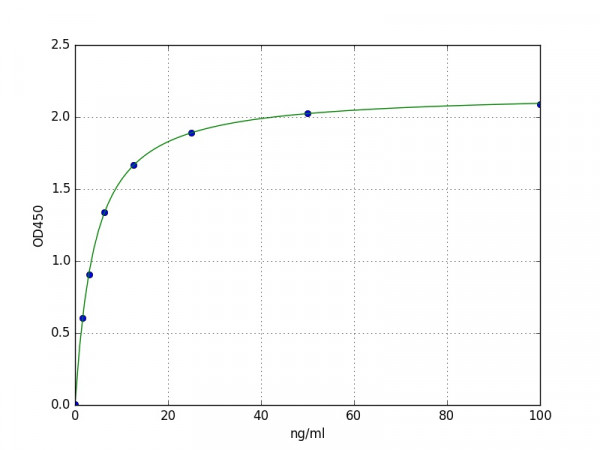 Human KiSS1R / GPR54 ELISA Kit