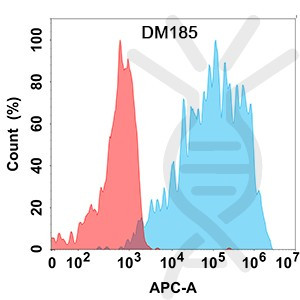 Anti-VEGFR2 antibody(DM185), Rabbit mAb