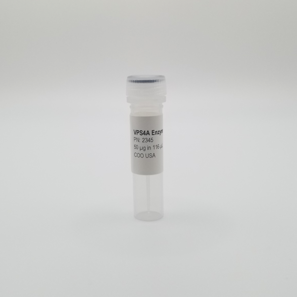 Recombinant VPS4a Enzyme, Active, Human