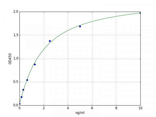 Mouse Nuclear Factor Kappa B / NFkB ELISA Kit
