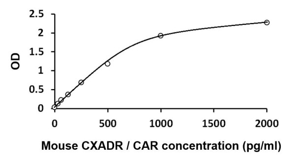 Mouse CXADR / CAR ELISA Kit