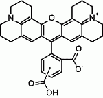 5(6)-ROX (5-(and 6)-Carboxy-X-rhodamine) *Mixed isomers*