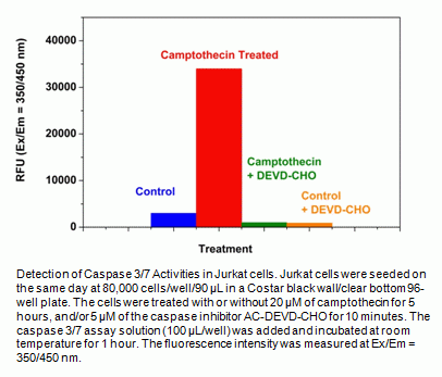 Cell Meter(TM) Caspase 3/7 Activity Apoptosis Assay Kit * Blue Fluorescence*