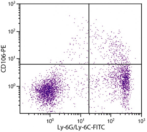 Anti-CD106 / VCAM1 (PE), clone M/K-2