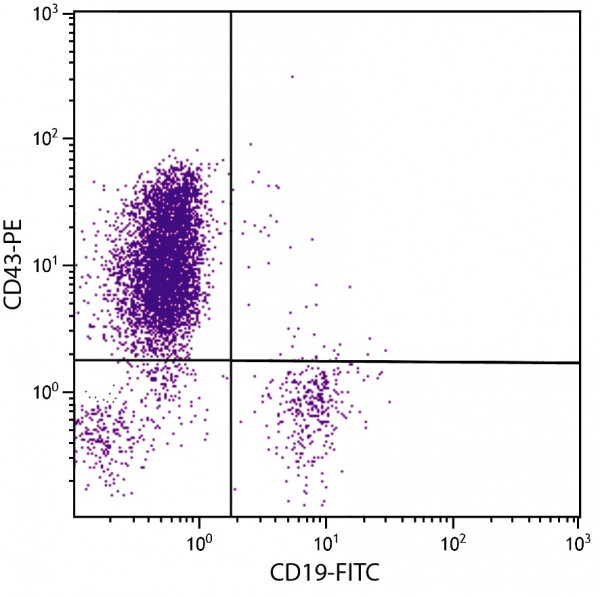 Anti-CD43 (PE), clone DF-T1