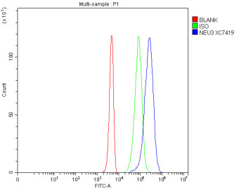 Anti-NEU3 / Sialidase 3