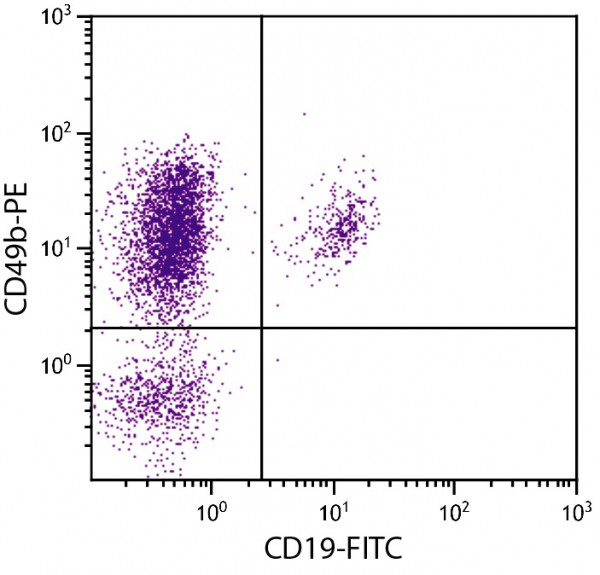 Anti-LPAM-1 / Integrin alpha 4 / CD49d (PE), clone 7.2