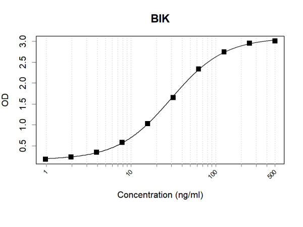 Anti-Human BIK Antibody Pair