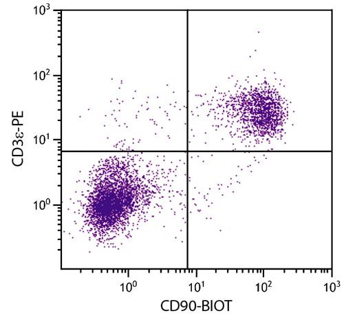 Anti-CD90 (Biotin), clone G7