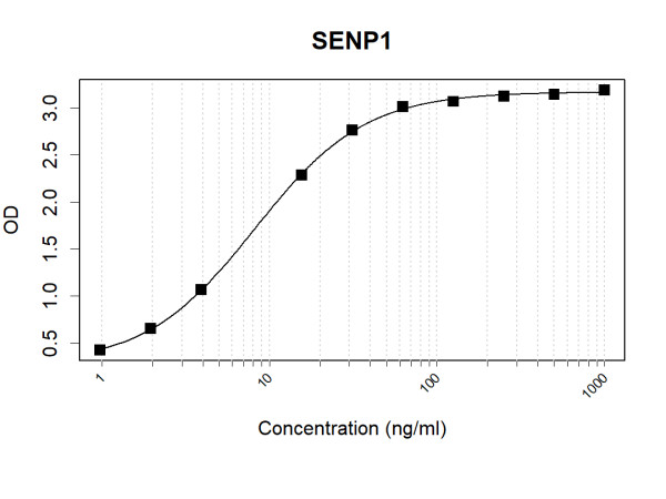 Anti-Human SENP1 Antibody Pair