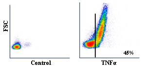Anti-TNF (bovine) alpha monoclonal antibody (clone Do-TNF-alpha)