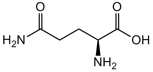 L-Glutamine [H-Gln-OH]