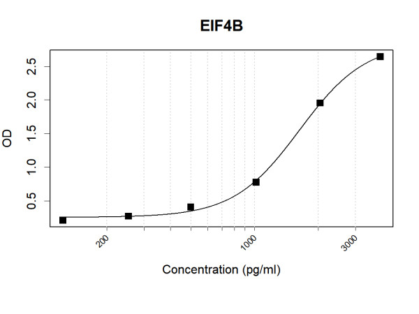 Anti-Human EIF4B Antibody Pair