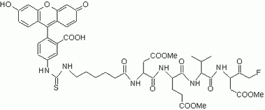 FITC-C6-D(OMe)E(OMe)VD(OMe)-FMK