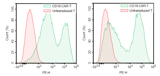 Anti-CD19 CAR Lentivirus (CD19 ScFv-CD8-4-1BB-CD3zeta, PuroR)
