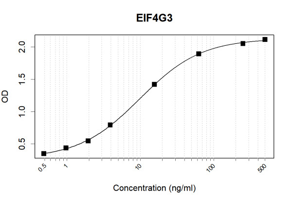Anti-Human EIF4G3 Antibody Pair