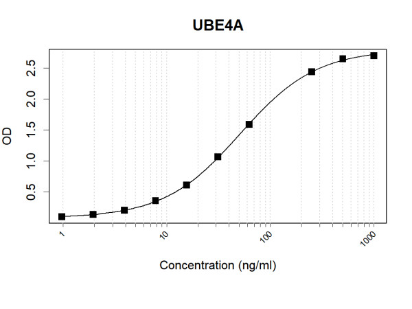 Anti-Human UBE4A Antibody Pair