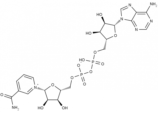 NAD+, free acid