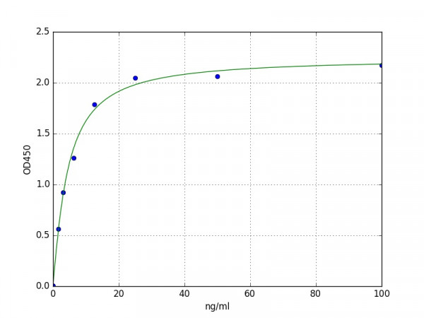 Human Protein disulfide-isomerase A4 / PDIA4 ELISA Kit