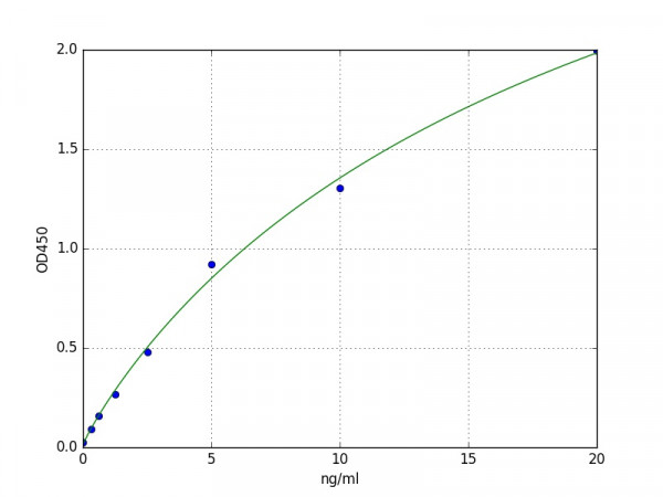 Mouse Hcn2 ELISA Kit