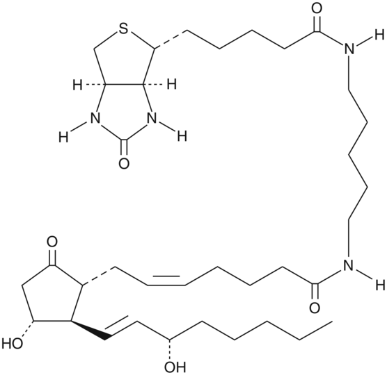 Prostaglandin E2-biotin