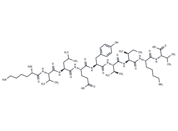 MAGE-A1-derived peptide