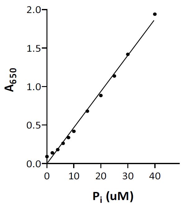 Standard-curve-for-Pi