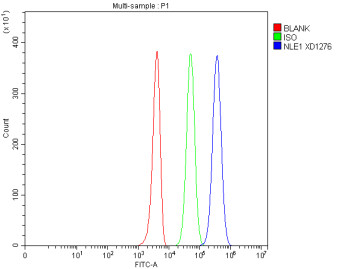 Anti-NLE1 / Notchless protein homolog 1