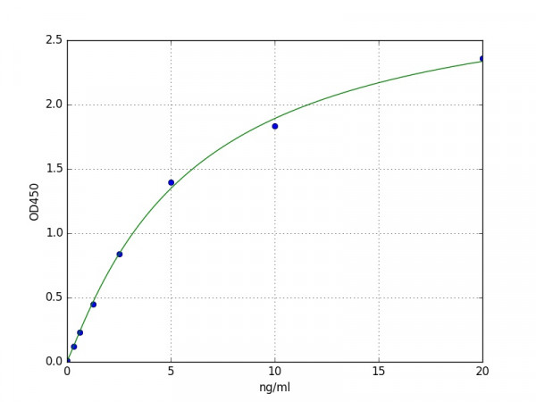 Human eIF3A ELISA Kit