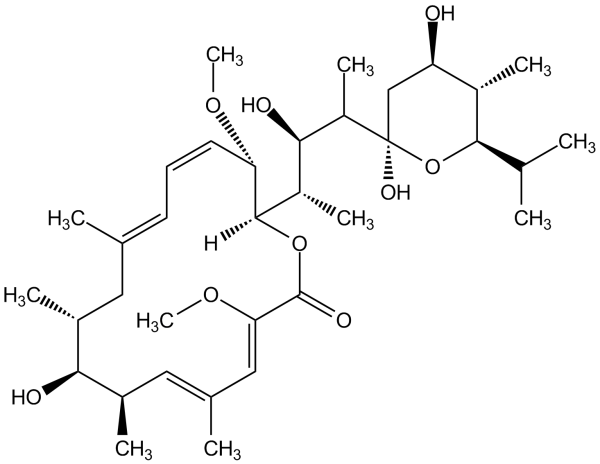 Bafilomycin A1 (high purity)