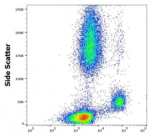 Anti-CD64 / FcgammaRI, clone 10.1