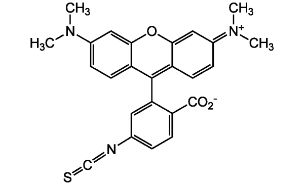 6-TRITC