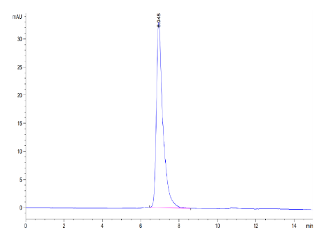 VCAM-1/CD106, His, Human